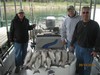 (09/13/2014) - Nice Striped Bass
